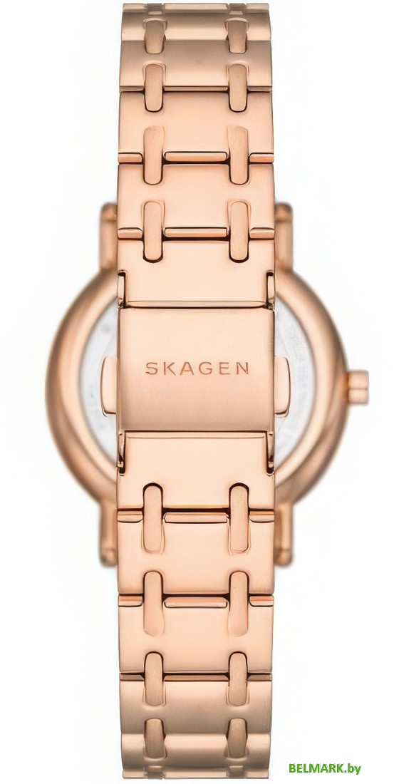 Наручные часы Skagen SKW3125 - фото2