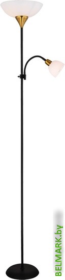 Торшер Arte Lamp Duetto A9569PN-2BK - фото