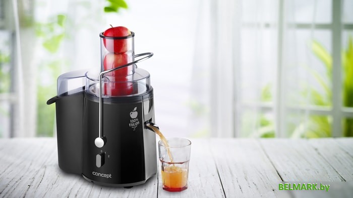 Соковыжималка Concept LO7027 - фото2