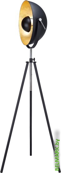 Торшер Lussole Loft LSP-9824 - фото2