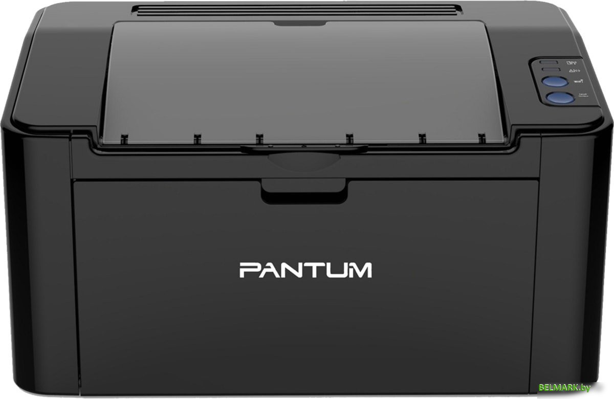Принтер Pantum P2500 - фото