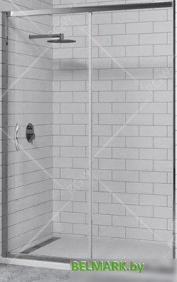 Душевая дверь RGW PA-016 140 (хром/матовое стекло) - фото