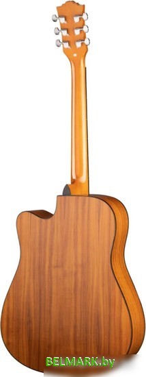 Акустическая гитара Ramis RA-G02C - фото2