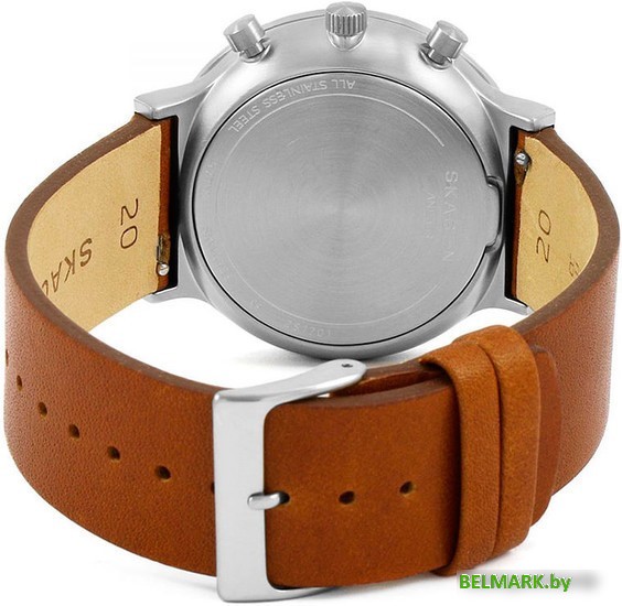 Наручные часы Skagen SKW6358 - фото2