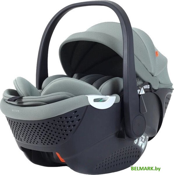 Детское автокресло Rant Aster Zero AY378 (оливковый) - фото