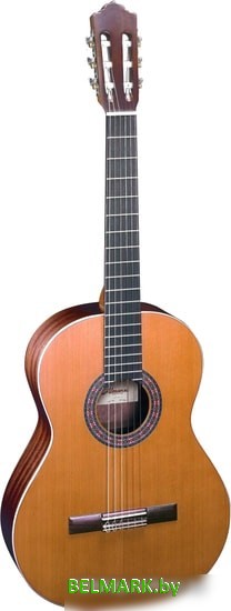 Акустическая гитара Almansa Student 401 - фото