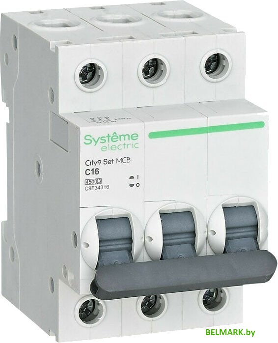 Выключатель автоматический Systeme Electric C9F34316 - фото