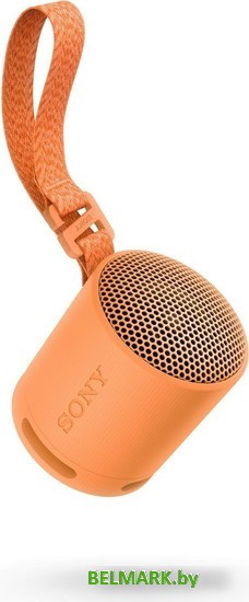 Беспроводная колонка Sony XB100 (оранжевый) - фото2