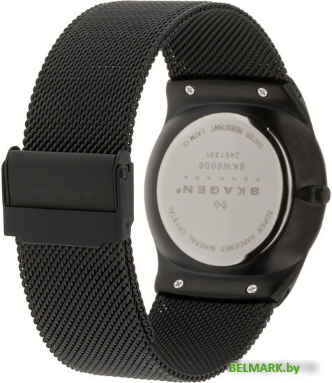 Наручные часы Skagen SKW6006 - фото2