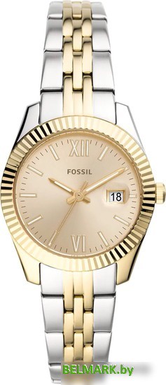 Наручные часы Fossil Scarlette Mini ES4949 - фото