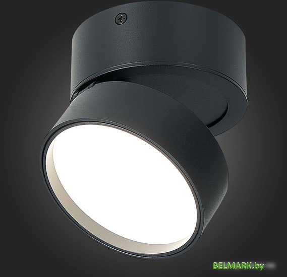 Припотолочная люстра ST Luce ST651.442.14 - фото2