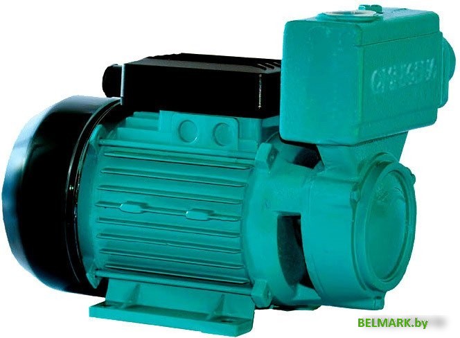 Самовсасывающий насос OMNIGENA WZ 750 - фото