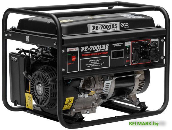Бензиновый генератор ECO PE-7001RS - фото