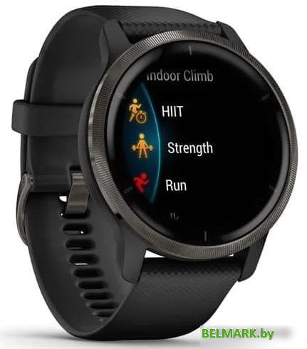 Умные часы Garmin Venu 2 (сланцевая нержавеющая сталь/черный) - фото2