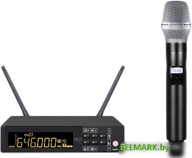 Радиосистема Biema DG-100 - фото