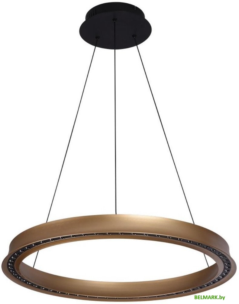 Подвесная люстра Aployt APL.787.03.50 - фото