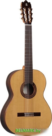 Акустическая гитара Alhambra Student Iberia Ziricote - фото