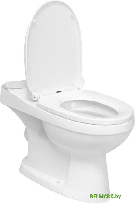 Унитаз напольный AV Engineering AVFTNR2620AB - фото