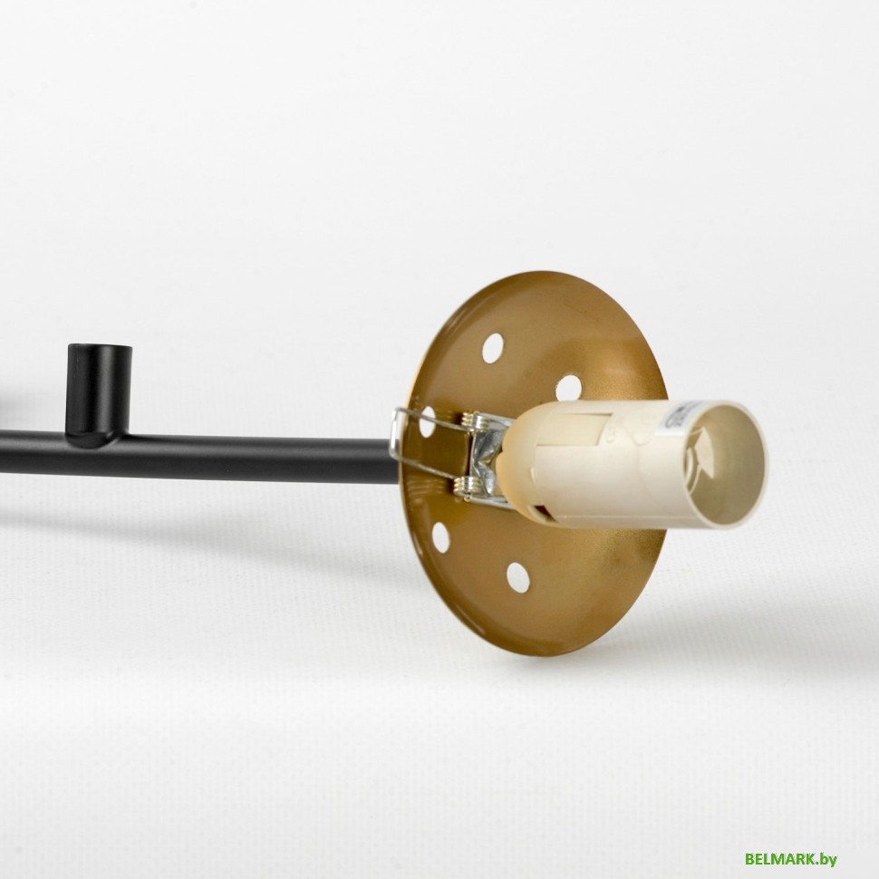 Подвесная люстра Lussole LSP-8889 - фото2