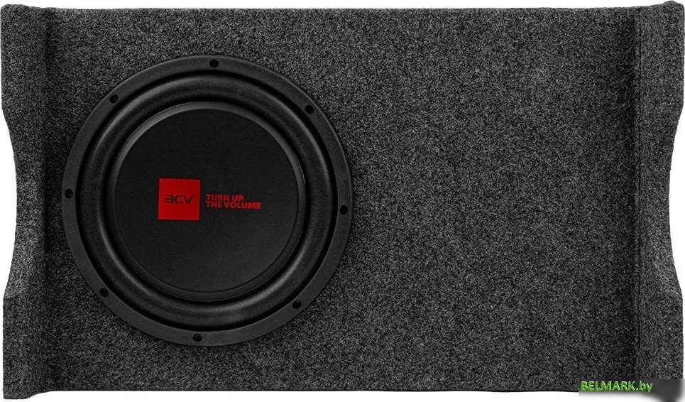 Корпусной активный сабвуфер ACV Craft FS10A - фото2
