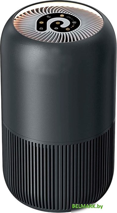 Очиститель воздуха Neoclima NP170SB - фото