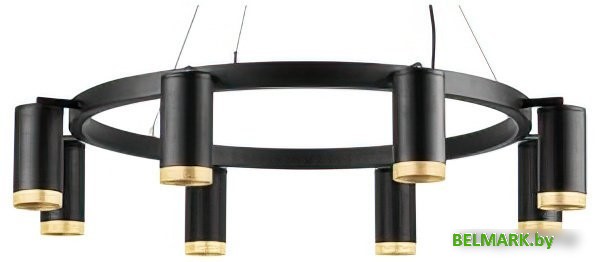 Подвесная люстра Lightstar Rullo LR01837840 - фото