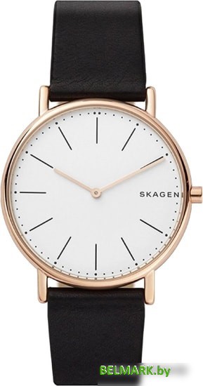 Наручные часы Skagen SKW6430 - фото