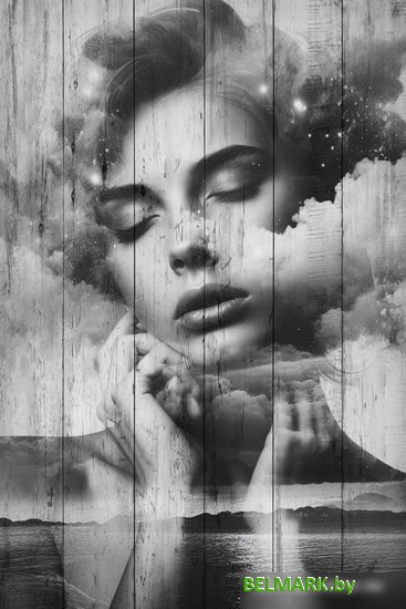 Картина White Wood B112-V-060-090-6.46 90x60 см - фото