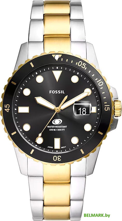 Наручные часы Fossil FS6031 - фото