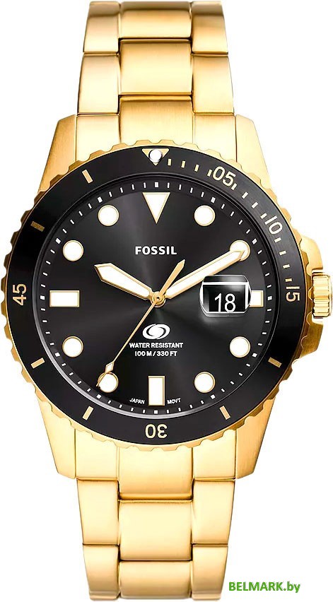 Наручные часы Fossil FS6035 - фото