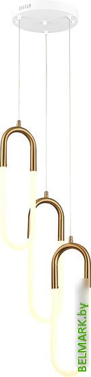 Подвесная люстра ST Luce Mofisto SL1579.303.03 - фото