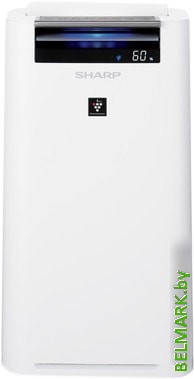 Очиститель и увлажнитель воздуха Sharp KC-G41RW - фото