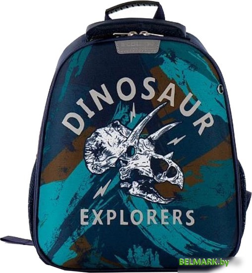 Школьный рюкзак Ecotope Kids Динозавр 057-540-145-CLR - фото