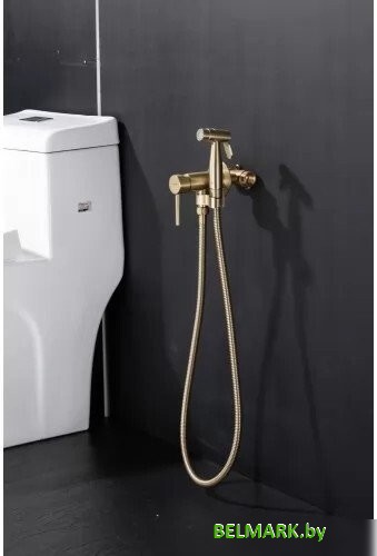 Гигиенический душ Gappo G7206-3 - фото2