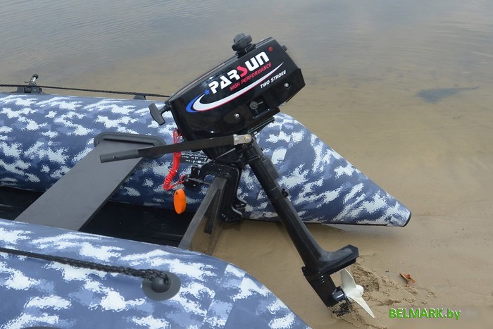 Лодочный мотор Parsun T2.6 BMS - фото2