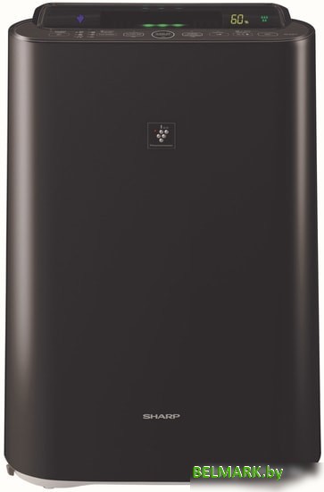Мойка воздуха Sharp KC-D40EUB - фото
