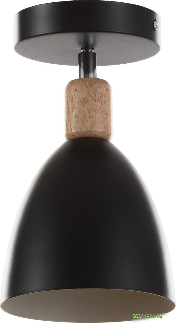 Спот BayerLux Дан 9916115 (черный) - фото