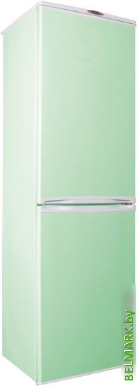 Холодильник Don R 299 Z - фото