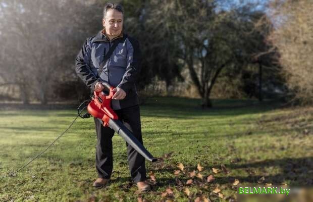 Ручная воздуходувка Einhell GC-EL 3000 E - фото2