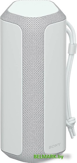 Беспроводная колонка Sony SRS-XE200 (серый) - фото