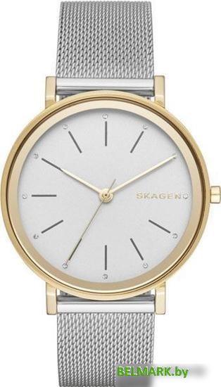 Наручные часы Skagen SKW2508 - фото