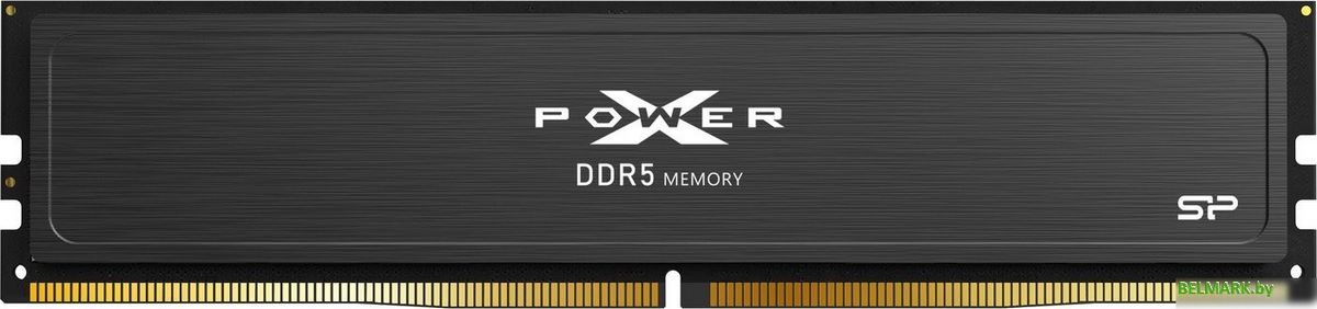 Оперативная память Silicon-Power XPower Pulse 16ГБ DDR5 5600 МГц SP016GXLWU560FSJ - фото