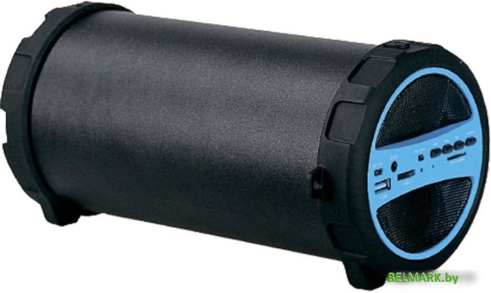 Беспроводная колонка Hyundai H-PAC220 - фото