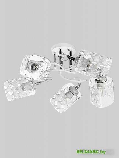 Припотолочная люстра Aitin Pro НПБ 02-5х60-101 N4725/5 - фото2