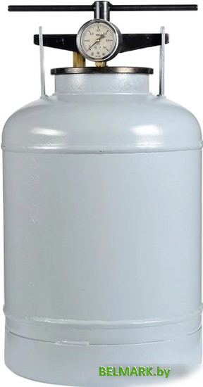 Автоклав Novogas НЗ58.00.00-02 (18 л) - фото