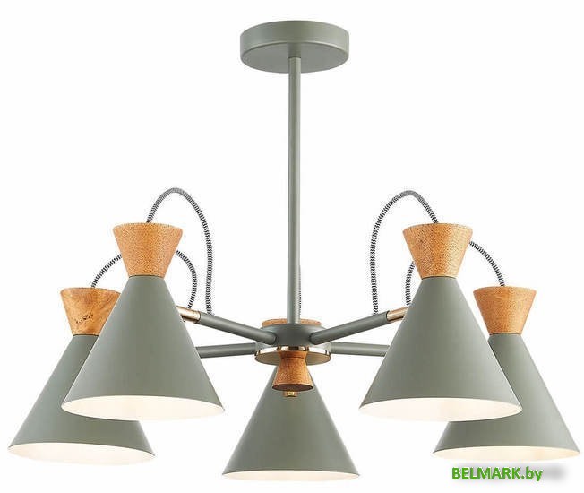 Люстра средней высоты Evoluce Modica SLE125112-05 - фото