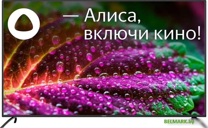 Телевизор StarWind SW-LED65UG402 - фото