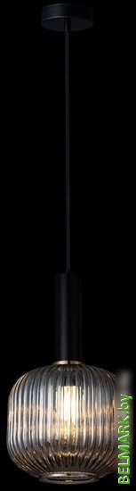 Подвесная люстра LOFT IT IRIS 2070-B+BL - фото2