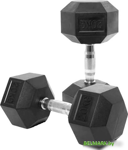 Набор гантелей VictoryFit VF-H200 2x20 кг - фото