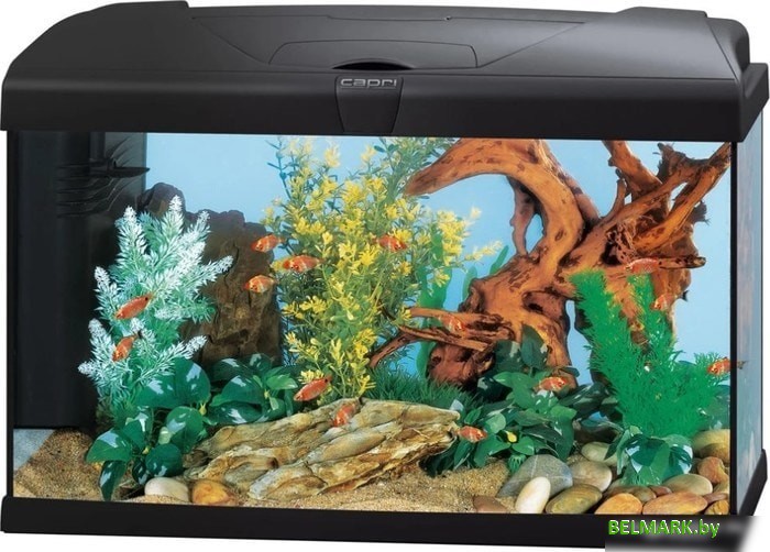 Аквариумный набор Ferplast Capri 50 Led 60 л (черный) - фото